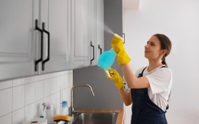 Why Are Residential Cleaning Services in Riverdale Best for Your Home?