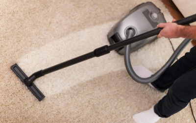 Revive Your Rugs With Expert Carpet Cleaners in Riverdale, NYC